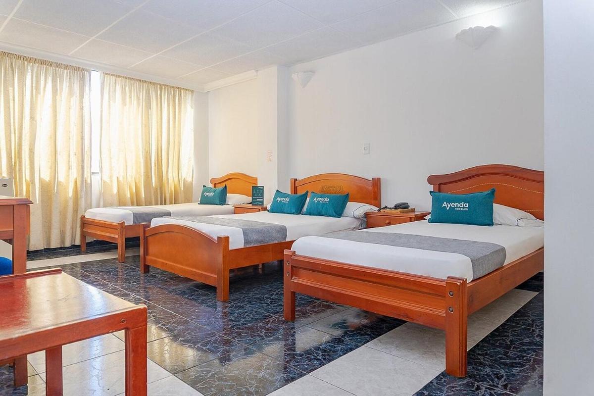 Dinastia Real Neiva 5*